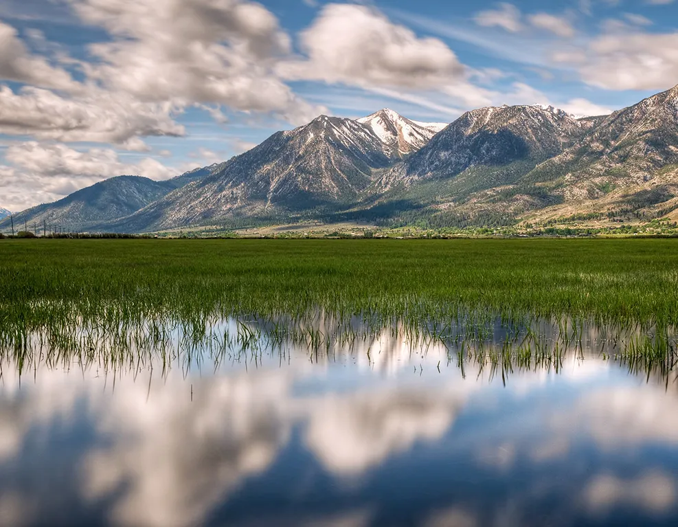 Carson Valley Property Management